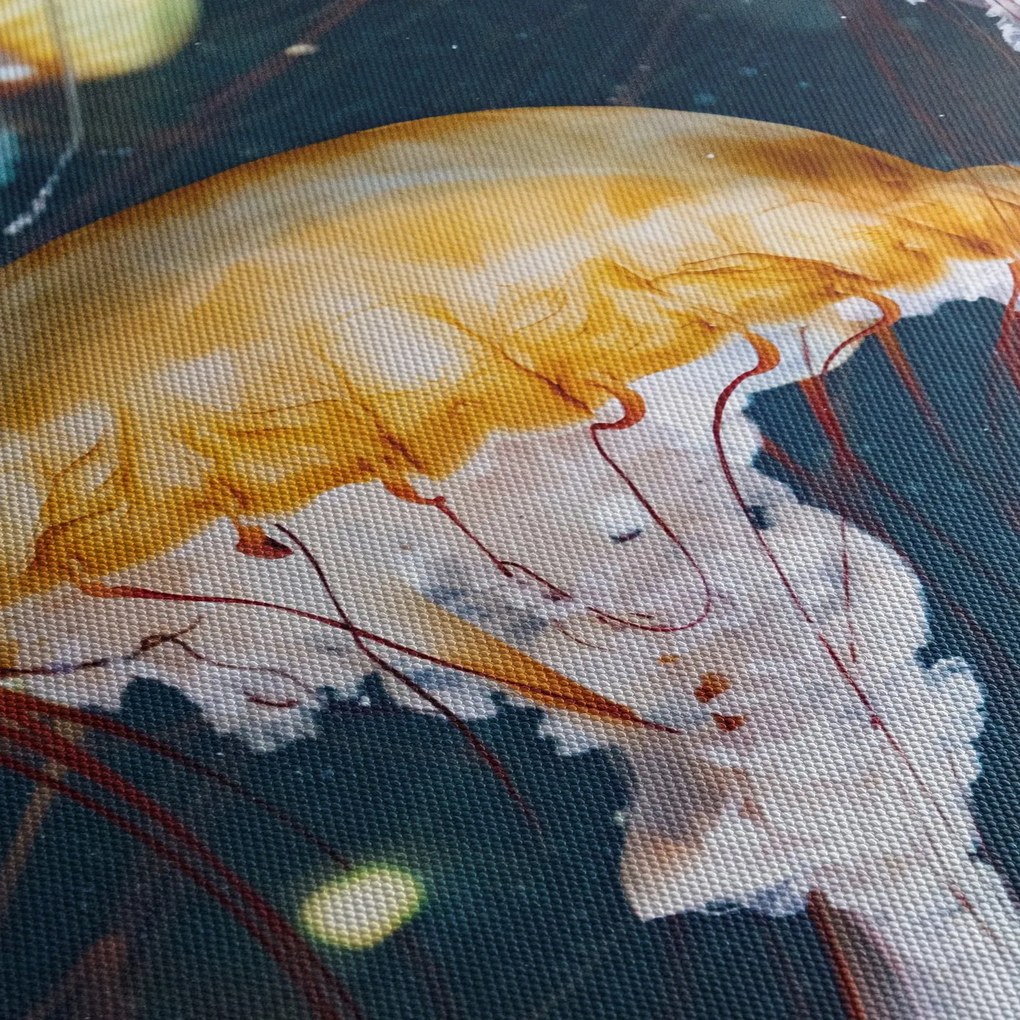 Obraz medúzy (90x60 cm)