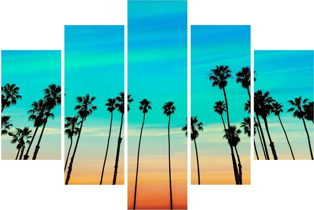 Obraz - Kalifornia (150x105 cm)