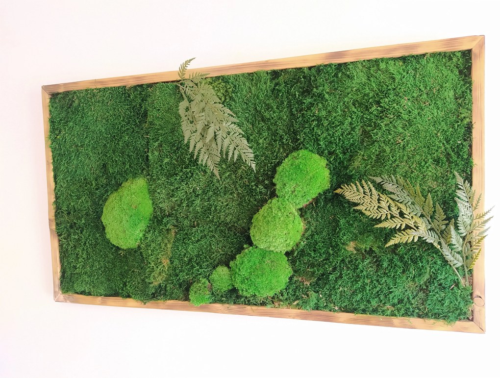 Machový obraz- lesný mach s papradím 30cm x 70cm