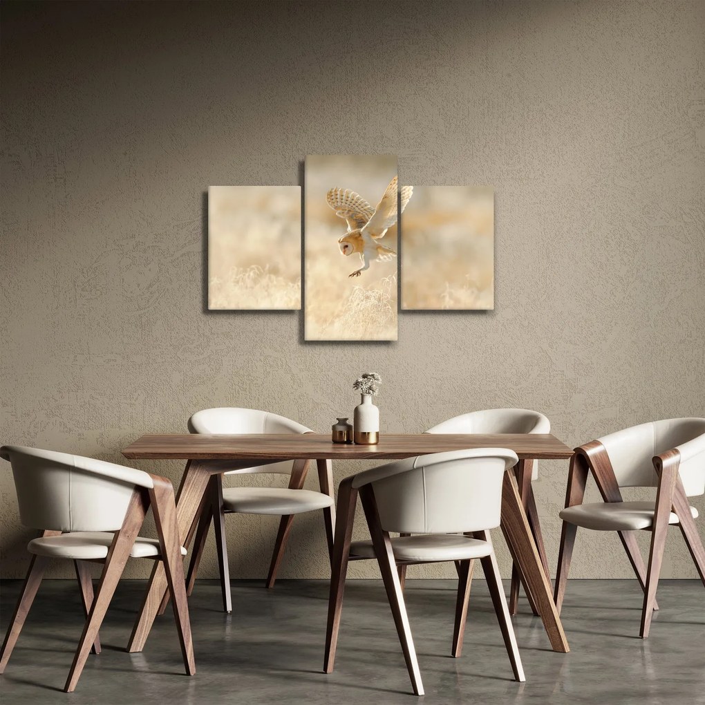 Obraz - Sova pálená (90x60 cm)