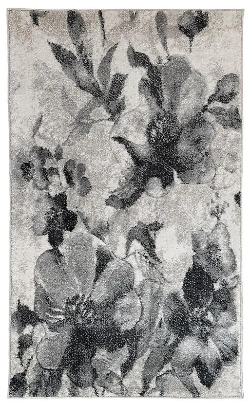 Koberec Bellariva 0,8/1,5 B8259A 8F3 58