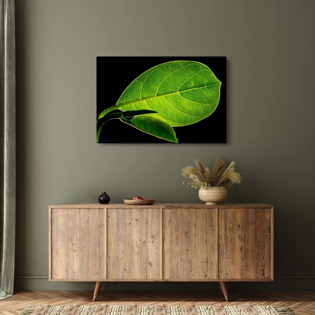 Obraz - zelený list (90x60 cm)
