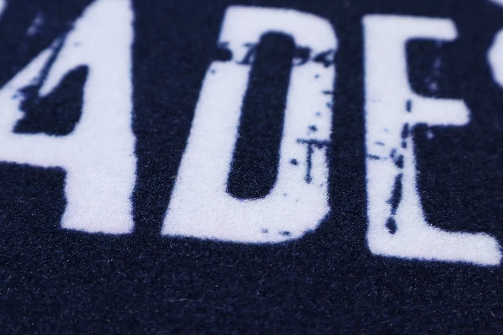 Mercury Flooring, Rohožka Nepokradneš 40x60 cm, 40x60, modrá