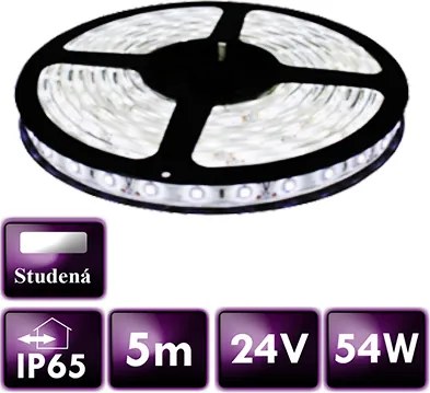 ECOLIGHT LED pásik - SMD 2835 - 5m - 60LED/m - 10,8 W/m - 24V - IP65 - studená biela