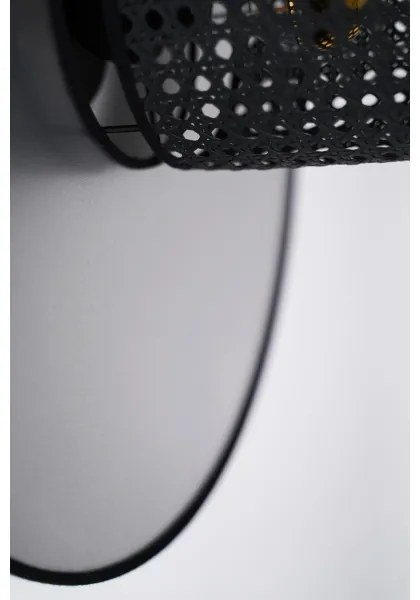 Duolla - Nástenné svietidlo TOKYO RATTAN 1xE27/15W/230V pr. 50 cm strieborná/čierna