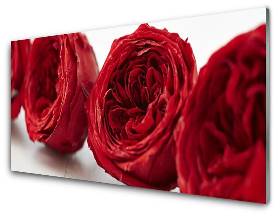 Obraz plexi Ruže kvety rastlina 140x70 cm