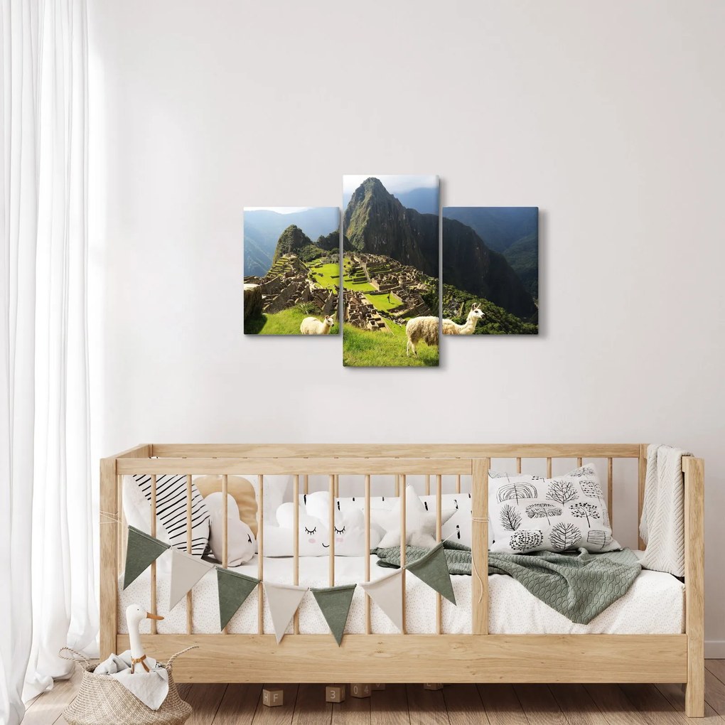 Obraz - Lamy v Machu Picchu (90x60 cm)