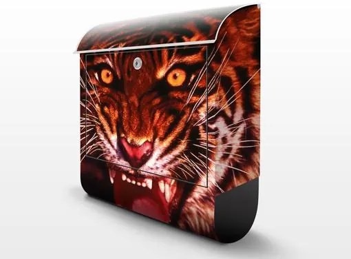 Poštová schránka Divý tiger