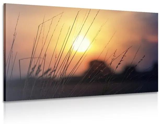 Obraz východ slnka nad lúkou - 120x80