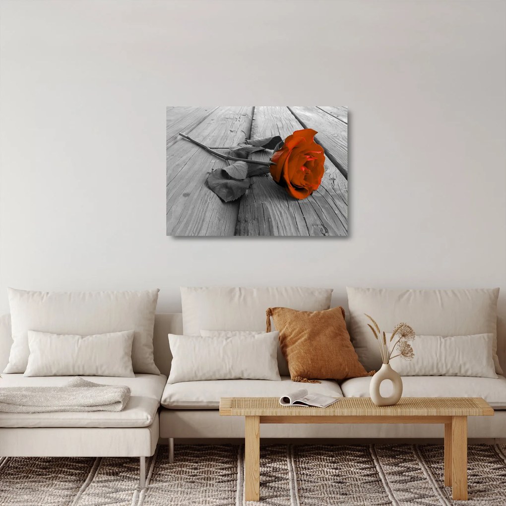 Sklenený obraz - Oranžová ruža (70x50 cm)