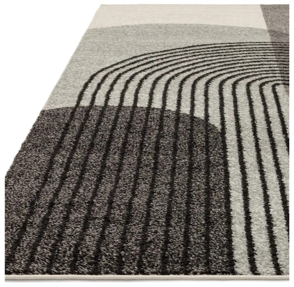 Sivý koberec 230x160 cm Muse - Asiatic Carpets