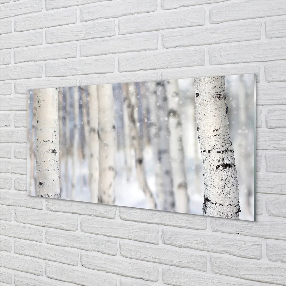 Obraz plexi Stromy v zime sneh 140x70 cm
