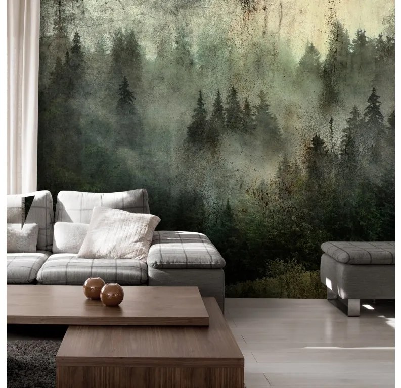 Artgeist Fototapeta - Misty Beauty of the Forest Veľkosť: 150x105, Verzia: Standard