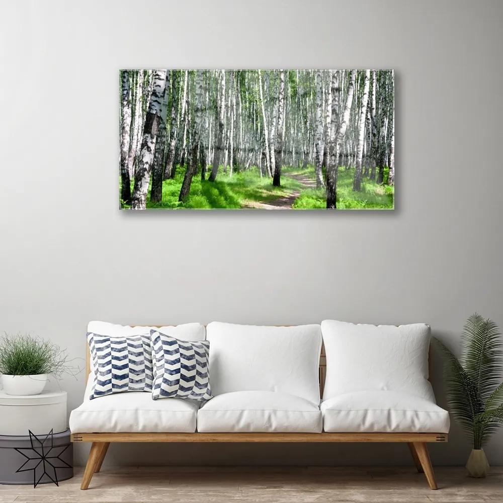 Obraz na akrylátovom skle Stromy tráva príroda 100x50 cm