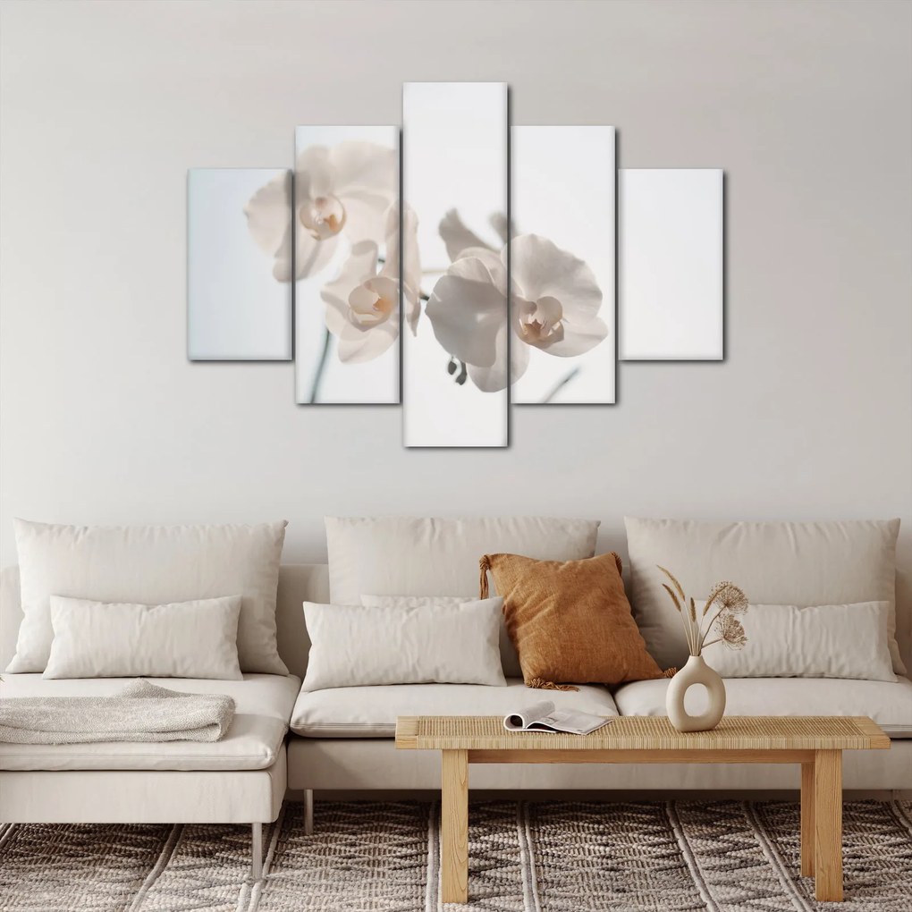 Obraz bielej orchidey (150x105 cm)