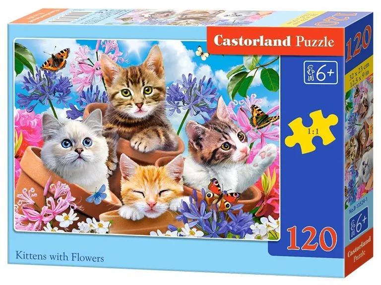 4802 Puzzle Castorland - Mačiatka v kvetináčikoch 120 dielikov