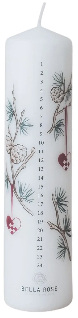 Bella Rose Adventná sviečka Smrekovec