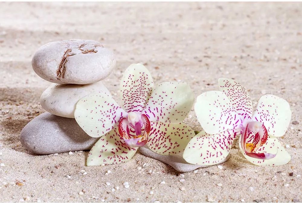 Dimex SK Fototapeta Orchidea v piesku 3 rôzne rozmery S - š-150 x v-250 cm