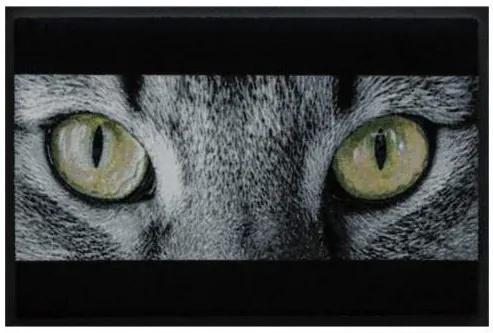 Premium rohožka- zvieratá - mačacie oči (Vyberte veľkosť: 75*50 cm)