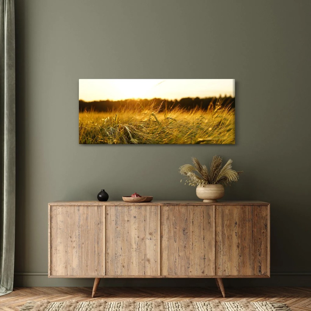Obraz orosenej trávy (120x50 cm)