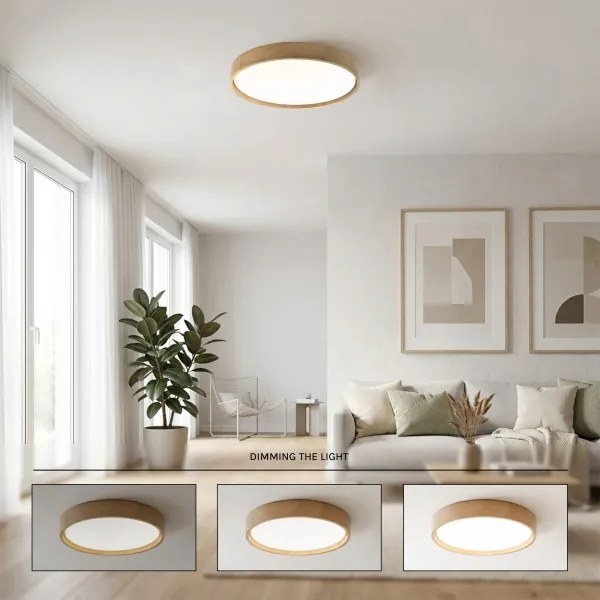 BRILAGI - LED stmievateľné stropné svietidlo MANAROLA SMART LED/36W/230V priemer 51 cm + diaľkové ovládanie