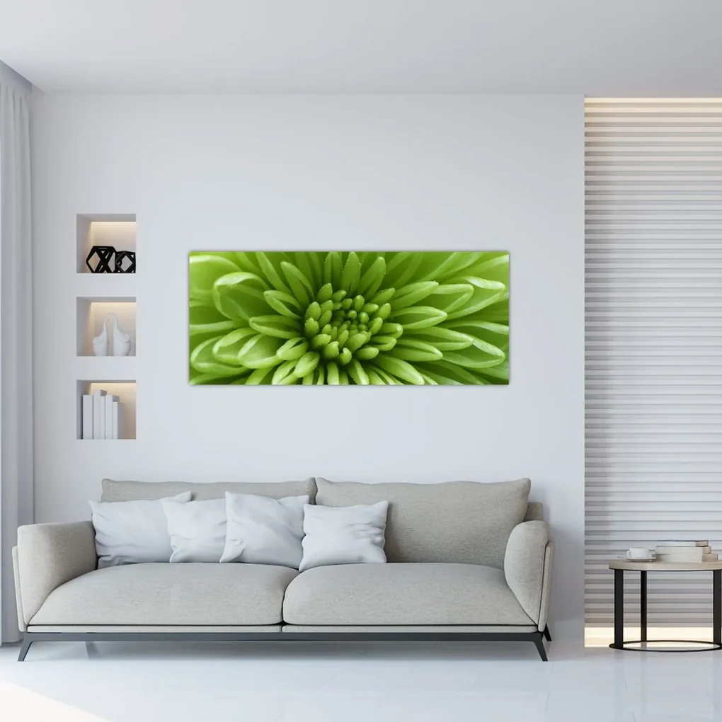 Obraz - Makro snímka rastliny (120x50 cm)
