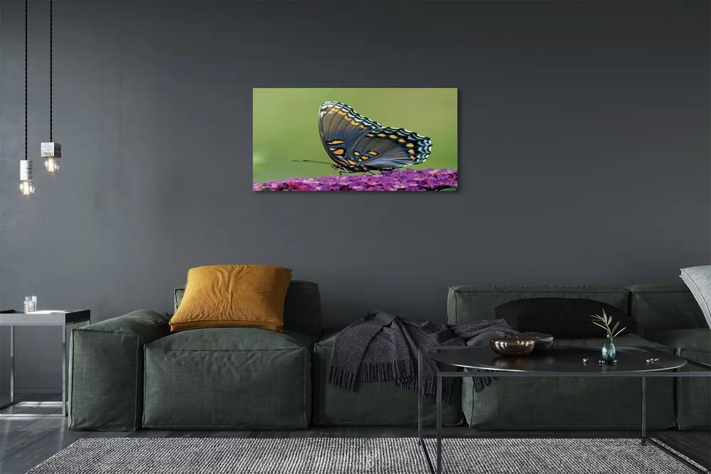 Obraz na plátne Farebný motýľ na kvety 120x60 cm