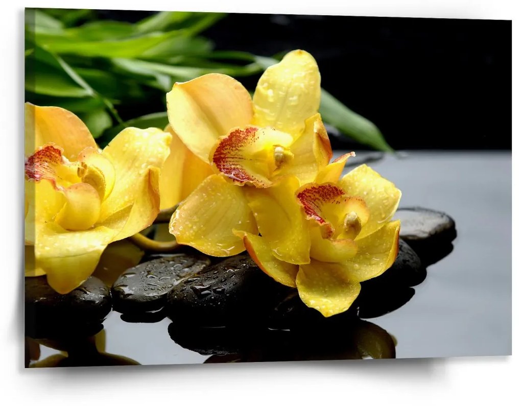 Sablio Obraz Žlté Orchidey: 150x110 cm