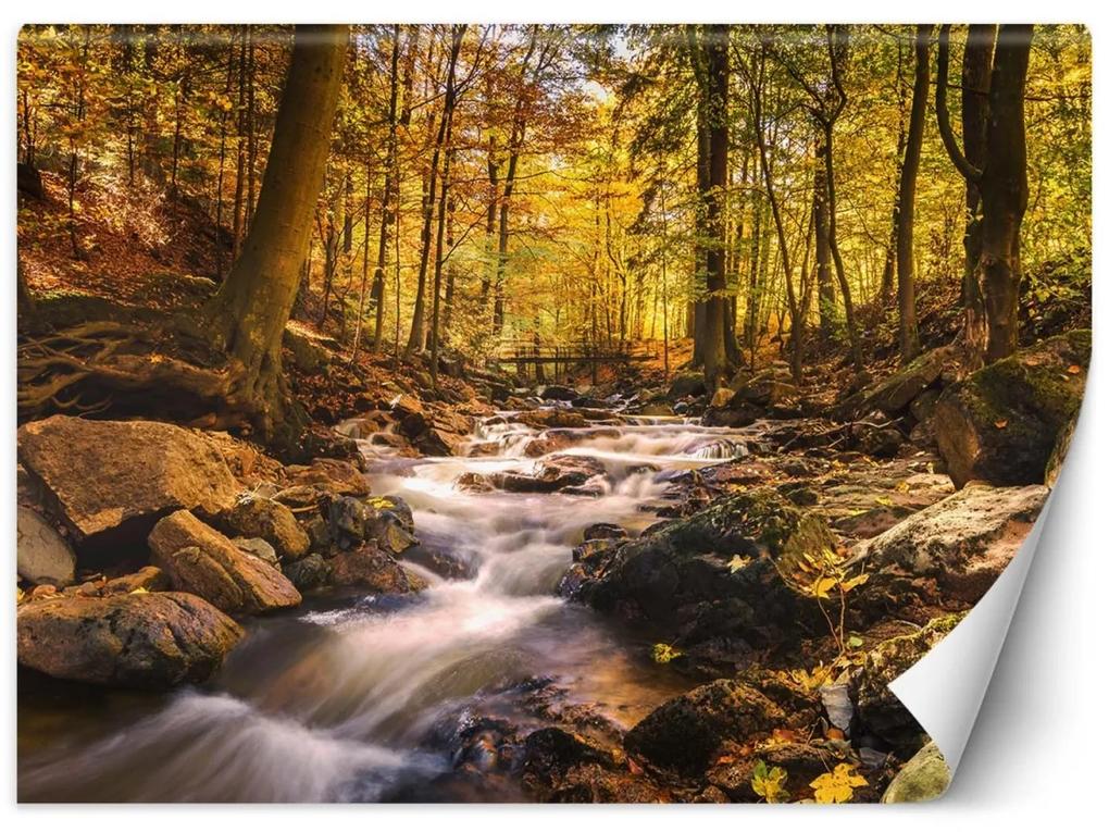 Fototapeta, Lesní potok na podzim - 100x70 cm