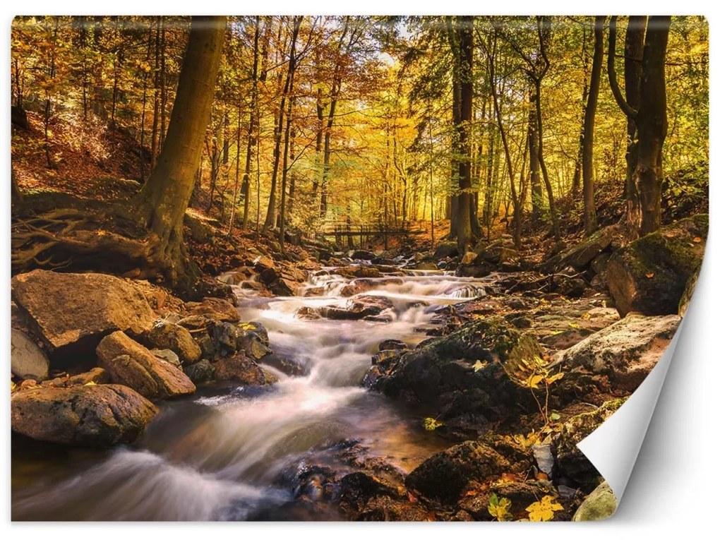 Fototapeta, Lesní potok na podzim - 250x175 cm