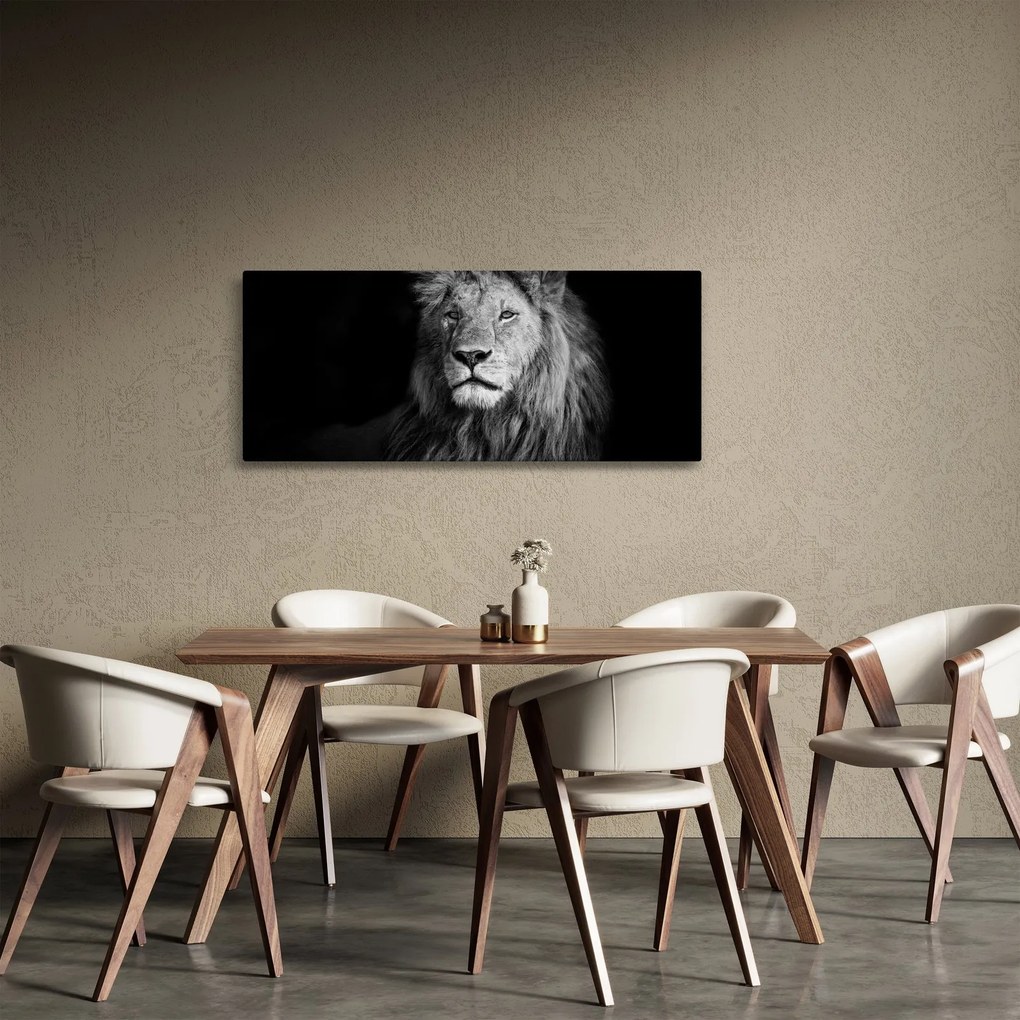 Obraz - Lev, čiernobiela (120x50 cm)