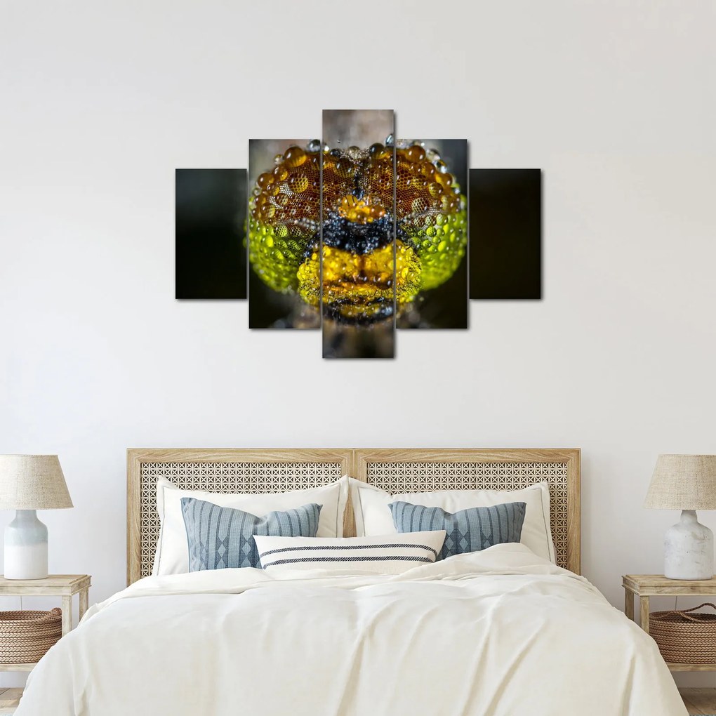 Detailný obraz očí hmyzu (150x105 cm)