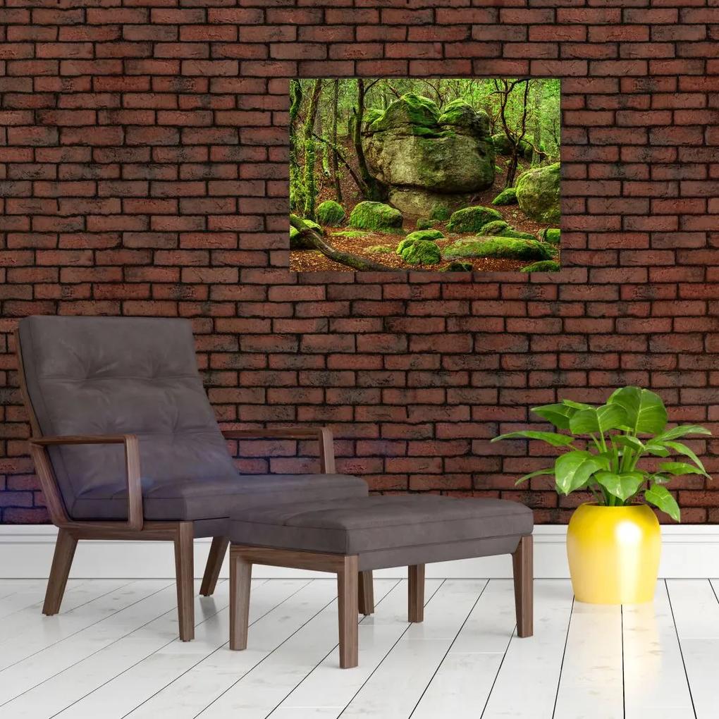 Sklenený obraz čarovného lesa (70x50 cm)
