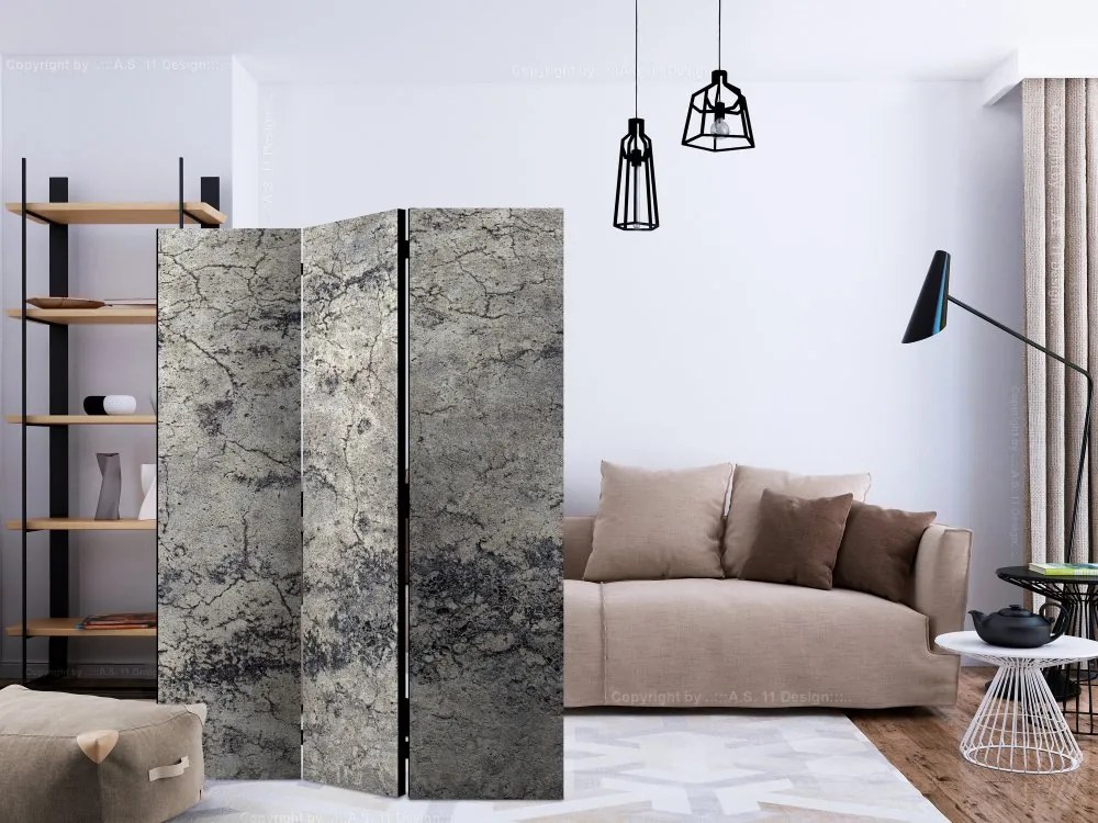 Artgeist Paraván - Grey Lady [Room Dividers]