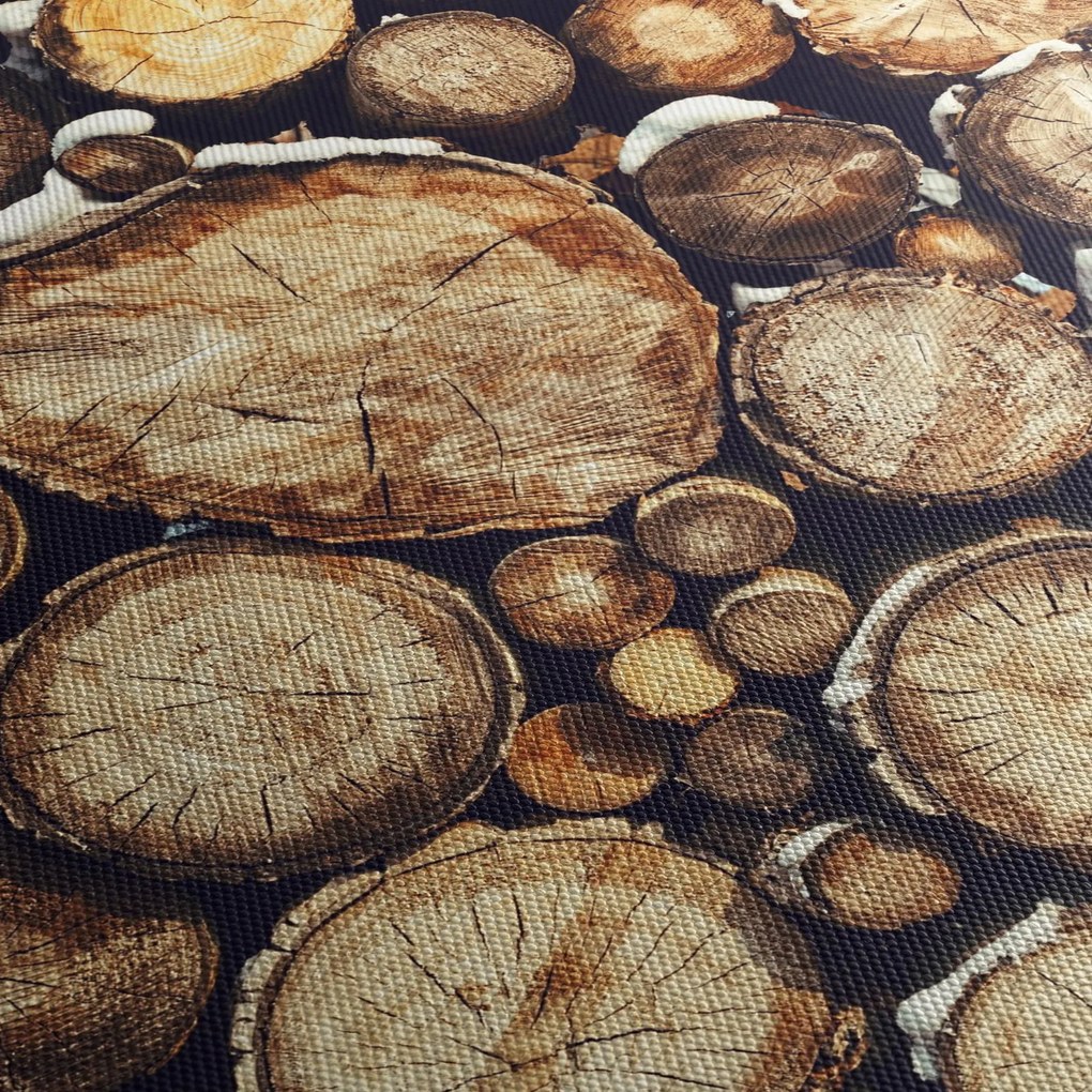 Obraz - Drevo v snehu (70x50 cm)