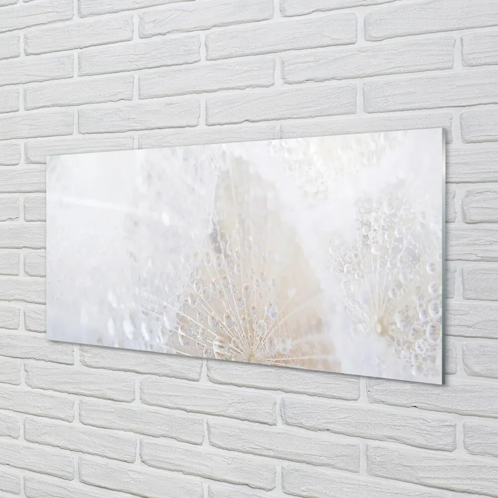 Obraz na skle Kvapky púpava abstrakcie 125x50 cm