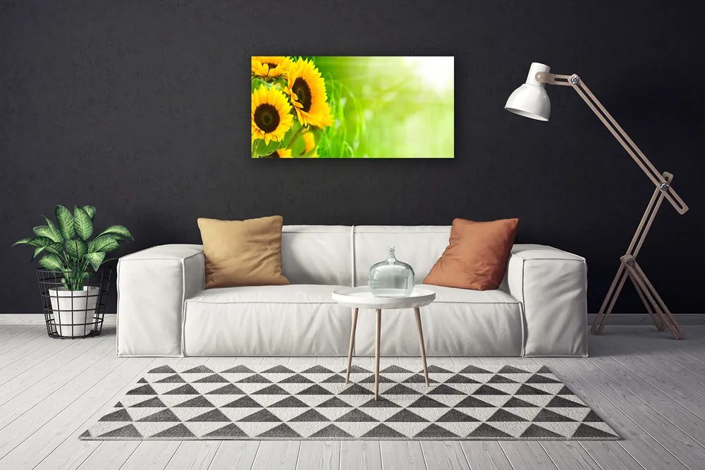 Obraz na plátne Slnečnicami rastlina 120x60 cm