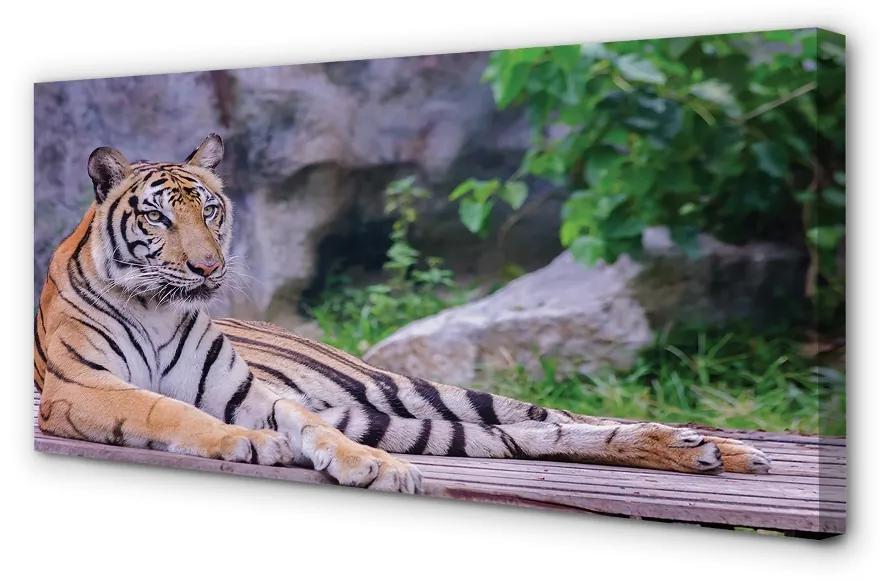 Obraz na plátne Tiger v zoo 120x60 cm