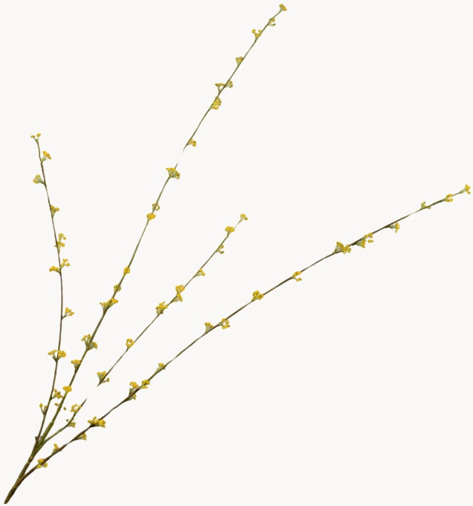 Rastlinná dekorácia Spiraea