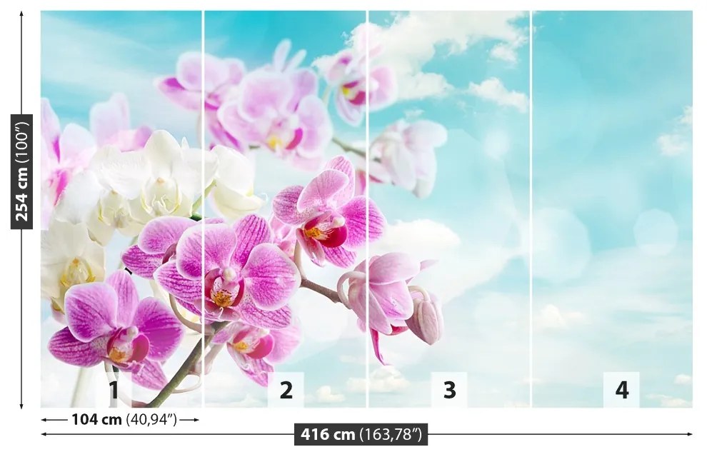 Fototapeta Vliesová Orchidey modrá 250x104 cm