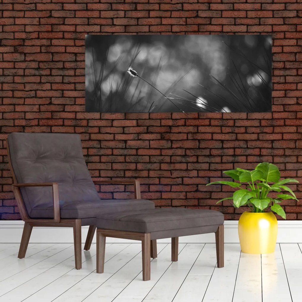 Obraz - Lúčna tráva (120x50 cm)