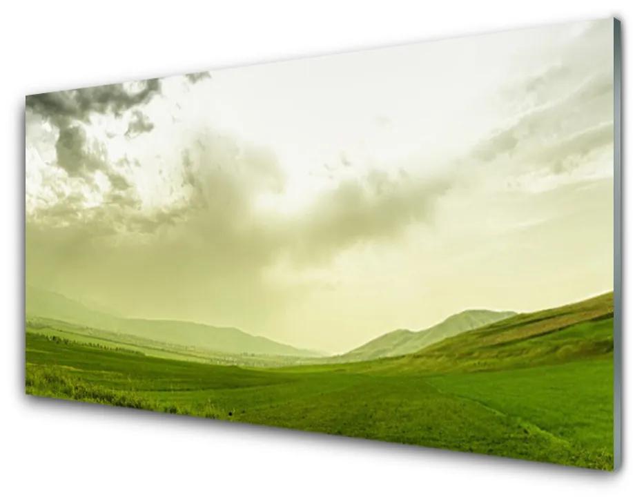 Obraz plexi Lúka príroda zelený výhľad 125x50 cm
