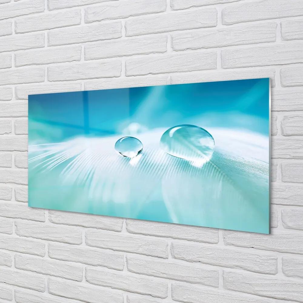 Obraz na skle Vodné kvapky makro 125x50 cm