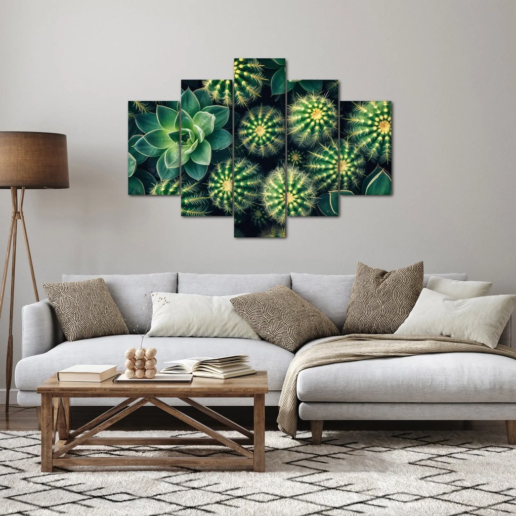 Obraz - Kaktusy (150x105 cm)