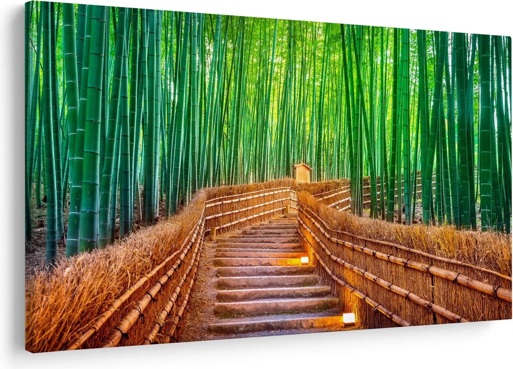 Obraz - Japonský bambusový les (90x60 cm)