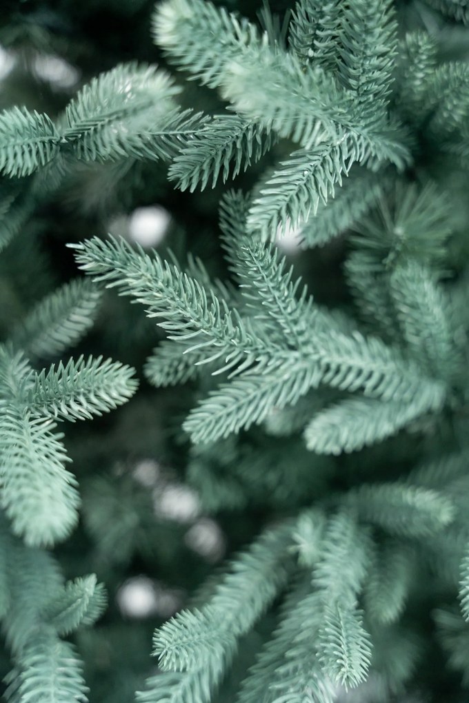 Jedľa exclusive strieborná 3D- 150cm