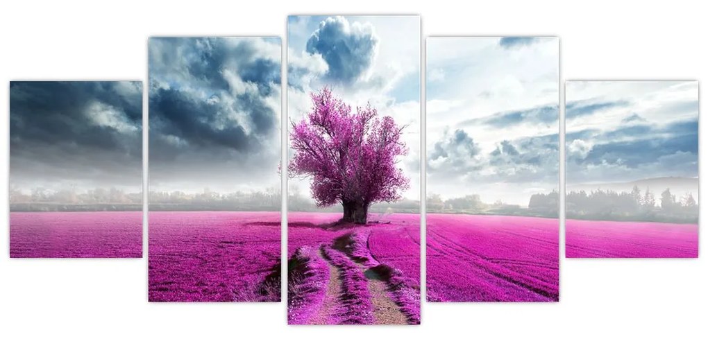 Levanduľové pole, obraz