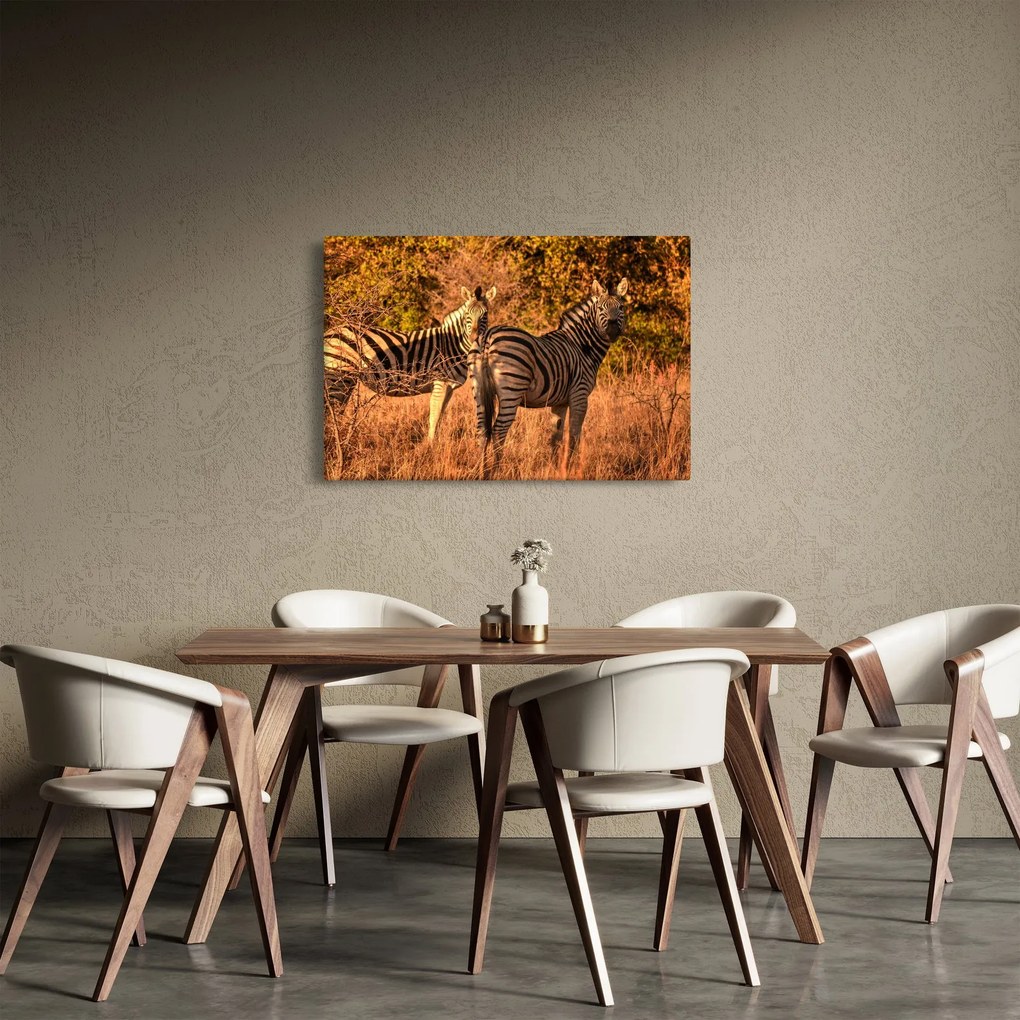 Obraz zebier (90x60 cm)