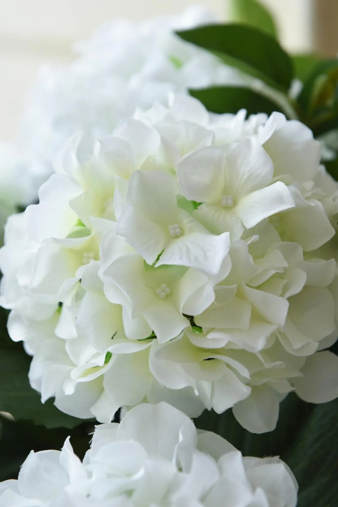 Umelá hortenzia HYDRANGEA v bielom kvetináči, výška 78 cm, biela