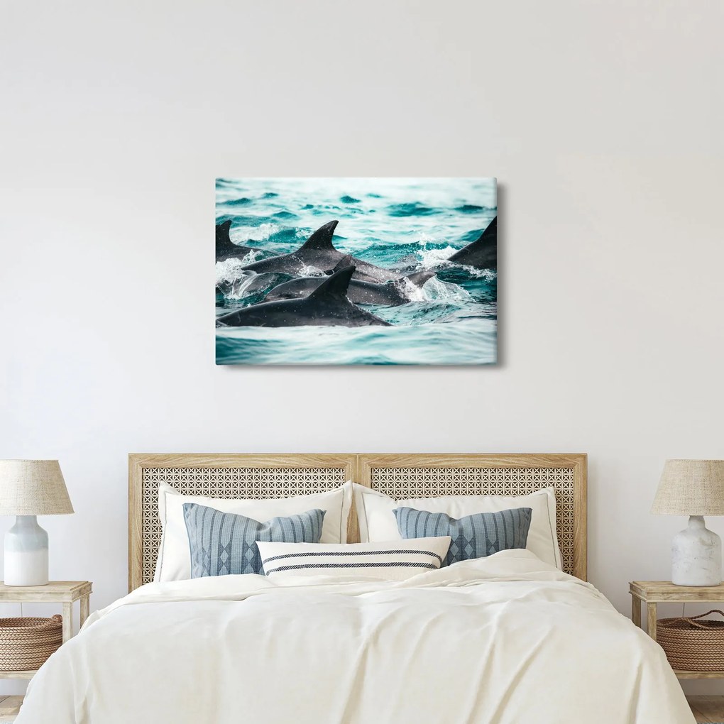 Obraz - Delfíny v oceáne (90x60 cm)